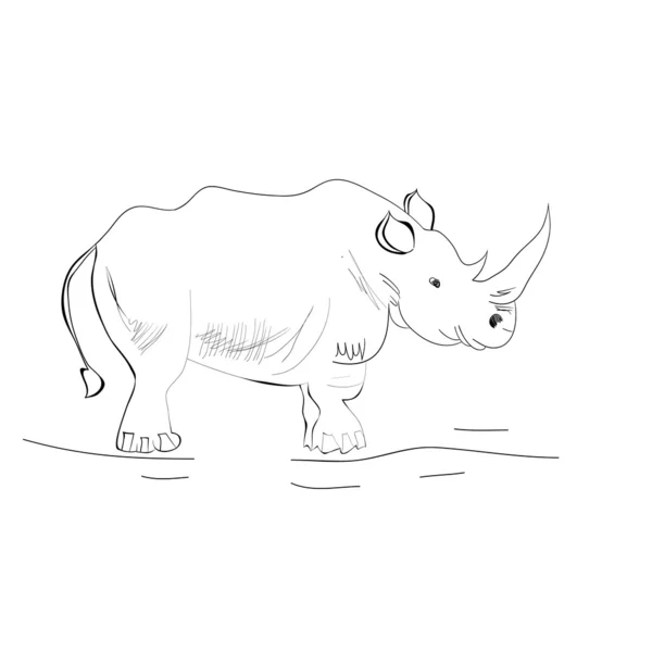 Skiss med noshörning — Stock vektor