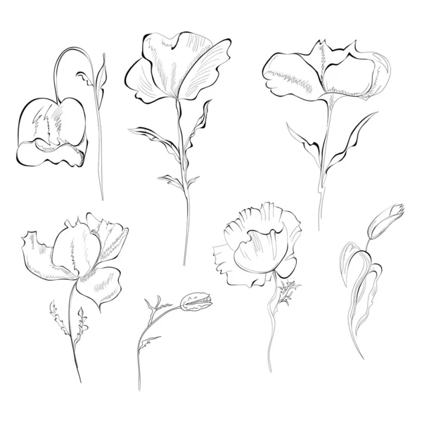 Set of flowers — Stock Vector