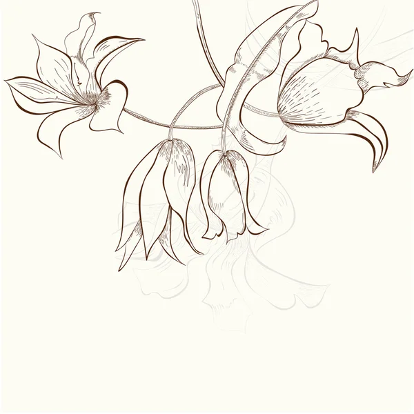 定型化された花の背景 — ストックベクタ