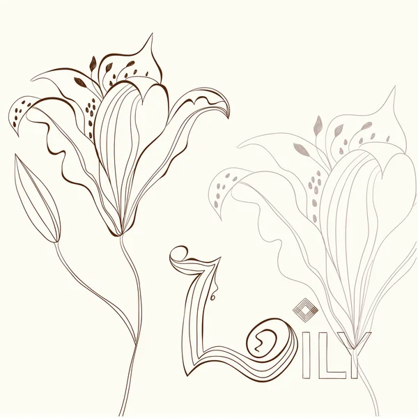 Lily flower — Stock Vector