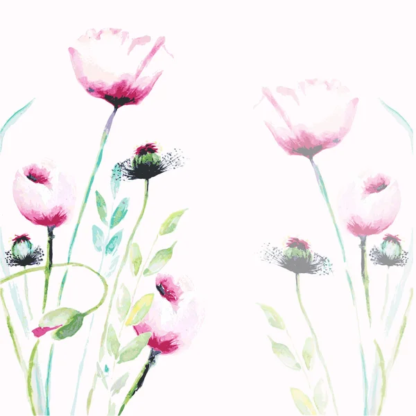 Pink Poppy flowers — Stock Vector