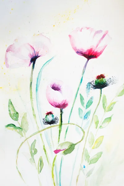 水彩粉红罂粟花朵 — 图库照片