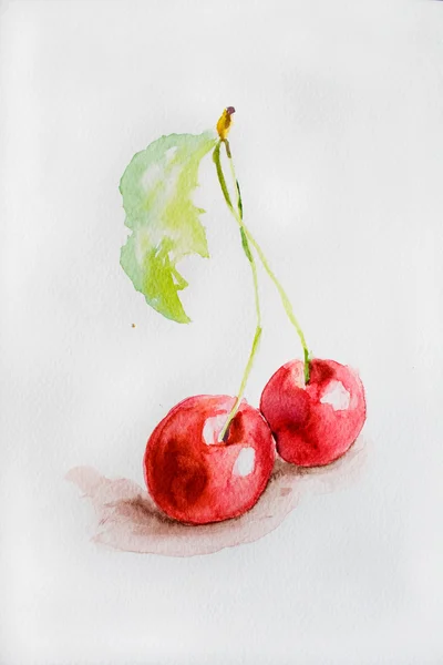 Akvarel cherry — Stock fotografie