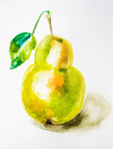 Watercolor illustration of pear — Stock Photo, Image