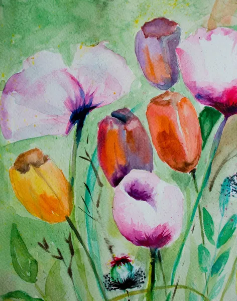 Akvarell tulpaner med vallmo blommor — Stockfoto