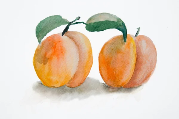 Aquarell-Illustration von zwei Pfirsichen — Stockfoto