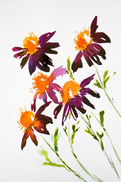Daisy blommor på akvarell — Stockfoto