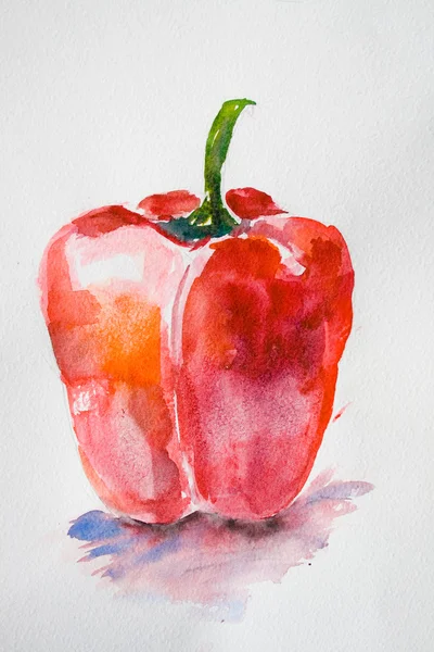 Akvarell illustration av röd paprika — Stockfoto