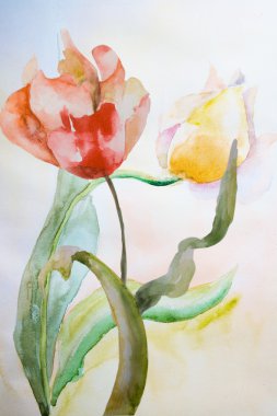 Beautiful tulips flowers clipart