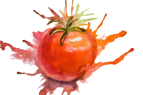 Ilustração estilizada de tomate — Fotografia de Stock