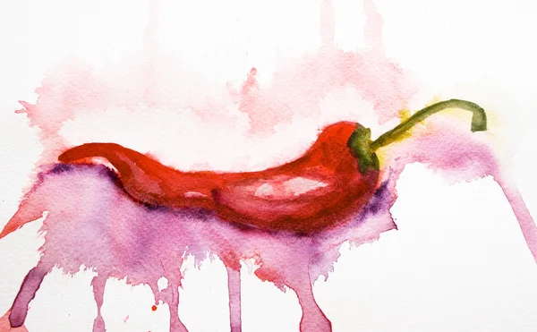 Red hot chili biber suluboya çizimi — Stok fotoğraf
