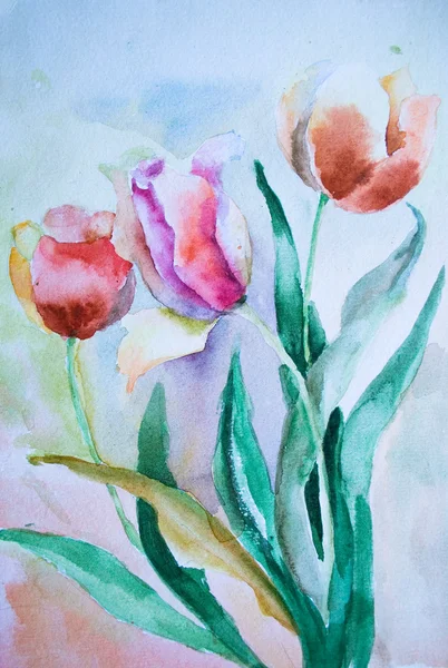 Três tulipas — Fotografia de Stock