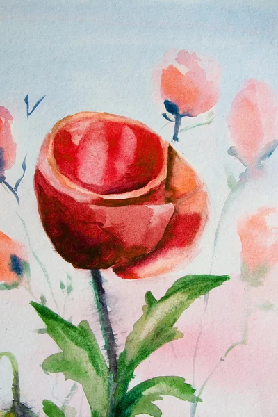 Poppy flower watercolor — Stock Photo, Image