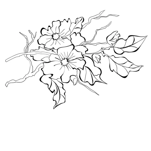 Rama floreciente de un manzano — Archivo Imágenes Vectoriales