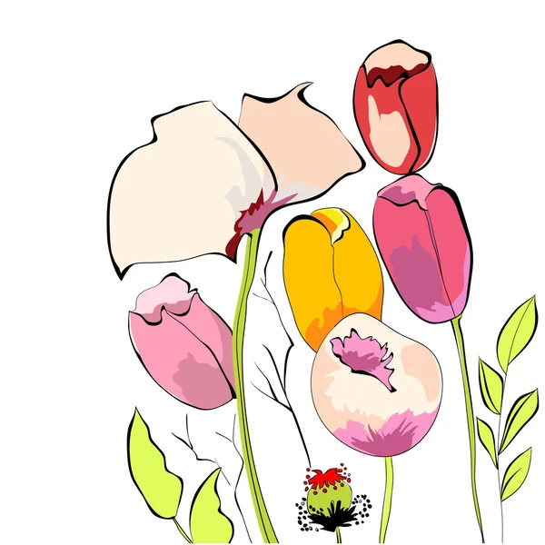 Tulips with poppy flowers — Stock Vector