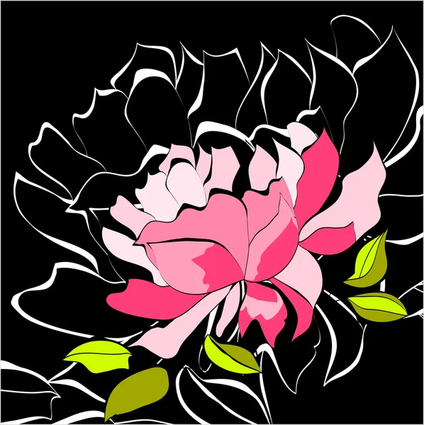 Dekoratív háttér, a pünkösdi rózsa virág — Stock Vector
