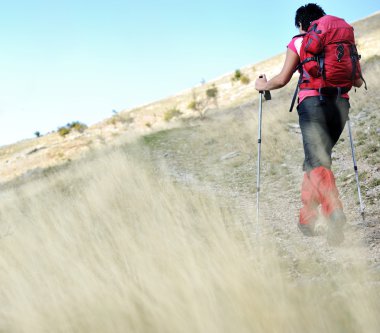 Nordic Walking at mountains, hiking woman in grass clipart