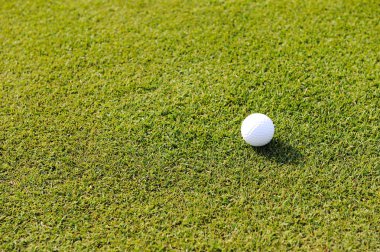 Golf topu çim sahada