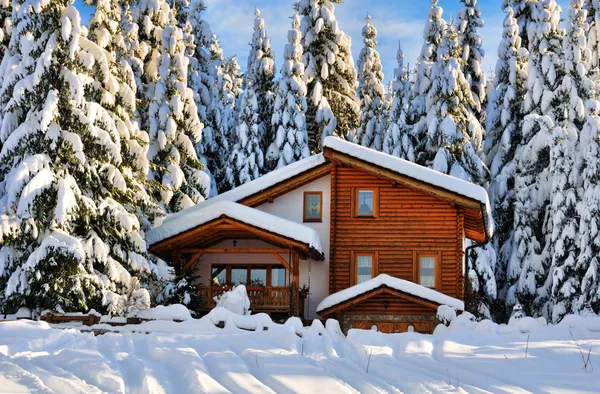 Zimní dům krásný sníh v lese — Stock fotografie