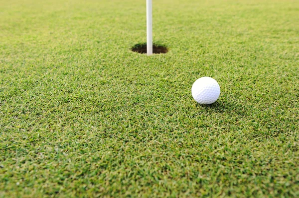 Golf ball op gat op grasveld — Stockfoto
