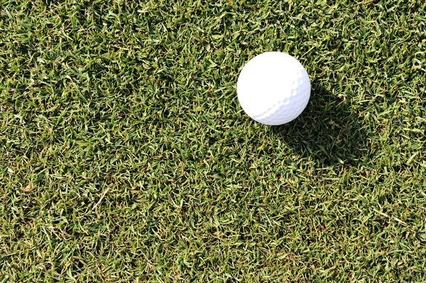Golf ball on grass field — Stock Photo, Image