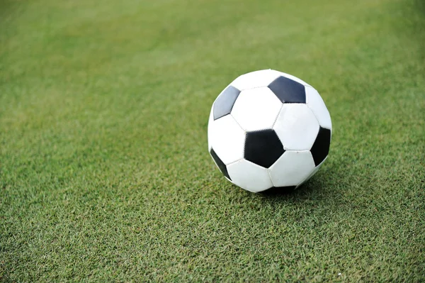 Voetbal op grasveld — Stockfoto