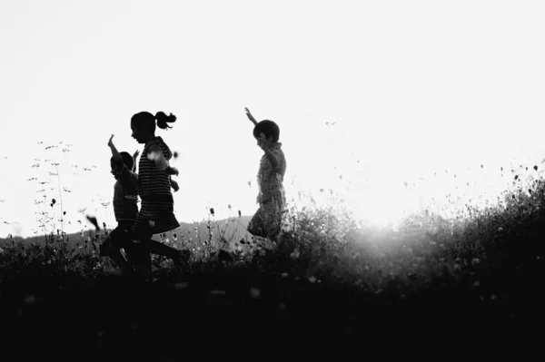 Happy children in nature at sunset — Stock Photo, Image