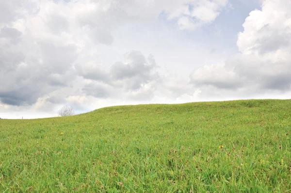 Meadow and sky — Stock Photo, Image