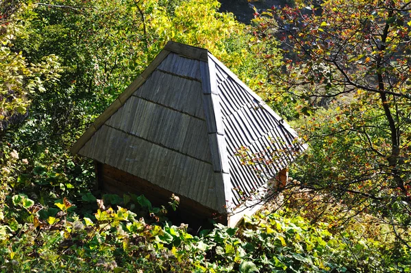 Malé kabiny v lese — Stock fotografie
