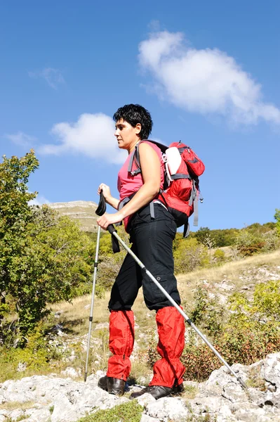 Nordic Walking en montañas de otoño, mujer senderista — Foto de Stock