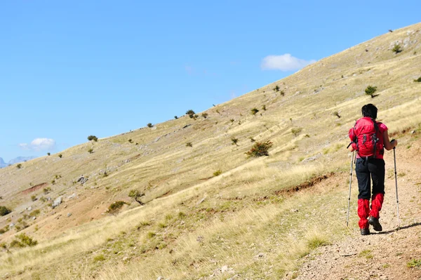 Kadın hiking dağlarda yürüyüş — Stok fotoğraf
