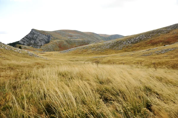 Grassland on mountains in autumn — Stock Photo, Image