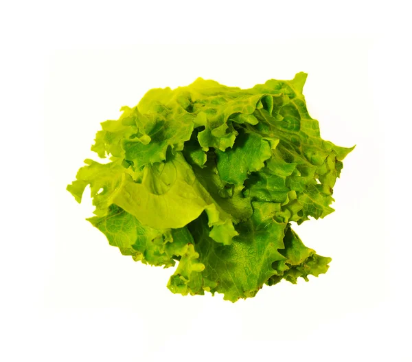 Lettuce isolated — Stock Photo, Image