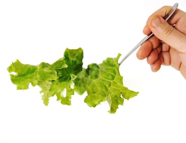 Salad in hand — Stock Photo, Image
