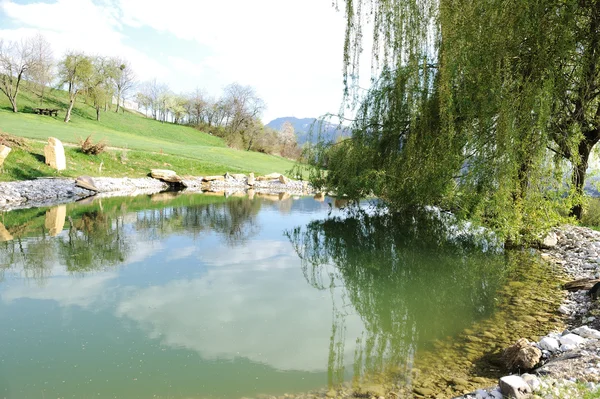 Piccolo lago al campo da golf Fotografia Stock