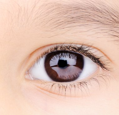 Child macro closeup eye clipart