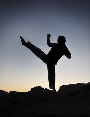 Karate fighter silhouette, young man doing an exercise of fighting sport, s clipart