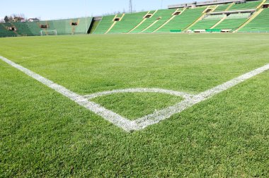 ile Stadyumu güzel yeşil çim futbol sahası