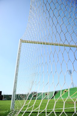 Goal net and white line in a soccer field on stadium