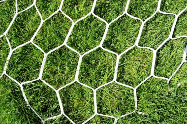 White football net on green grass background