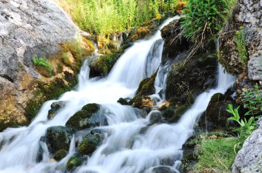 Dağ nehri