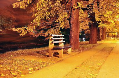 Fall scene, park, trees, alley clipart