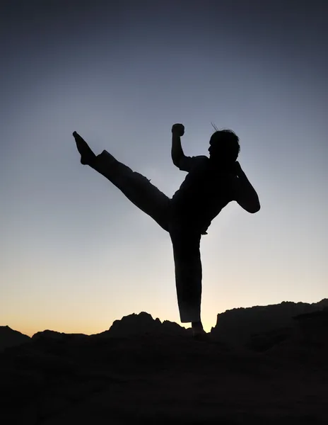 Silueta de combate de karate, joven haciendo un ejercicio de lucha contra el deporte, s — Foto de Stock