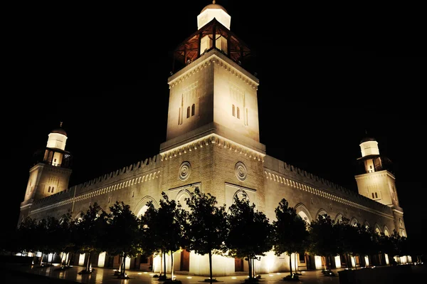 Mosquée dans la nuit — Photo