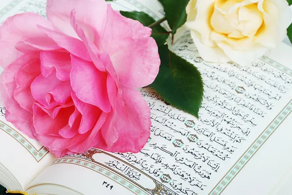 Rose colocar no livro sagrado Islã Alcorão — Fotografia de Stock