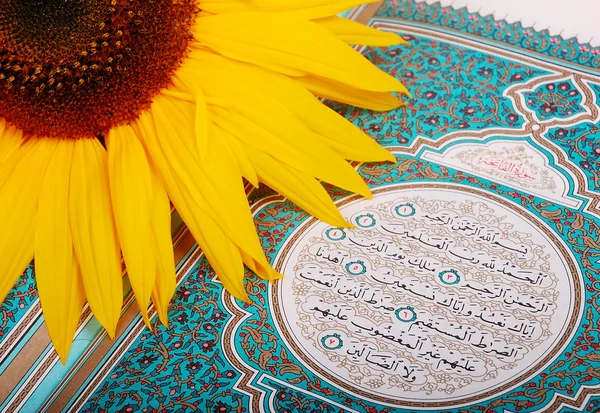 Zonnebloem gelegd op heilige islam boek koran — Stockfoto