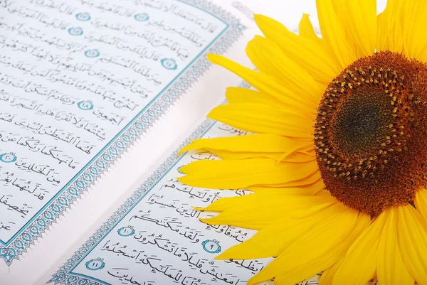 Zonnebloem gelegd op heilige islam boek koran — Stockfoto