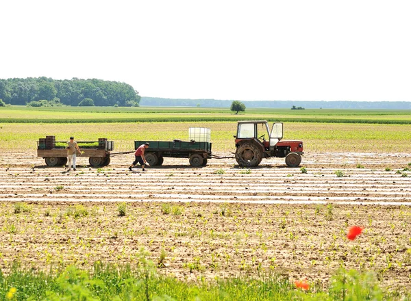 Trator com arado em campo — Fotografia de Stock