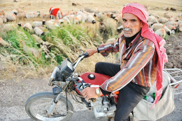 Senior herder op fiets — Stockfoto