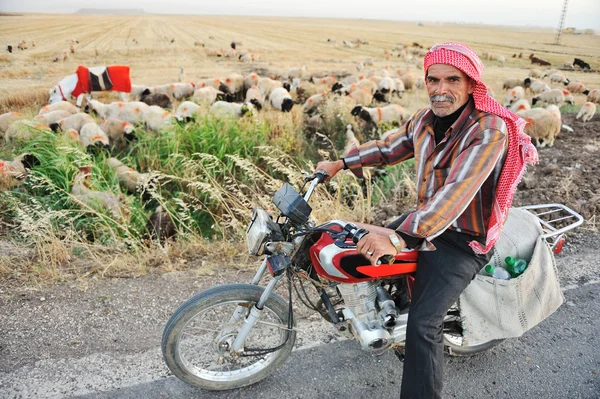 stock image Senior shepherd on bike
